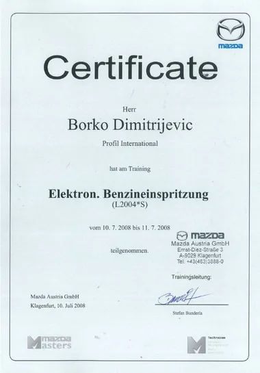Elektronsko benzinsko ubrizgavanje — 2008.