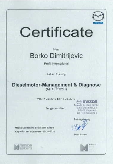 Dizel motor — upravljanje i dijagnostika — 2010.